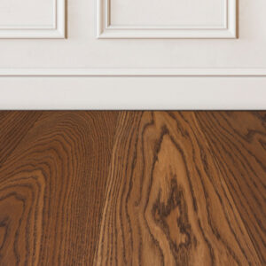 Labrador with white wall