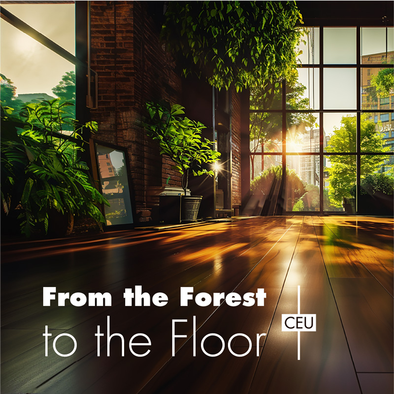 from-the-forest-to-the-floor-CEU-2024