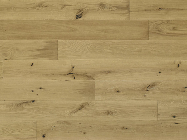 scarbourgh-North-Fork-Line-600