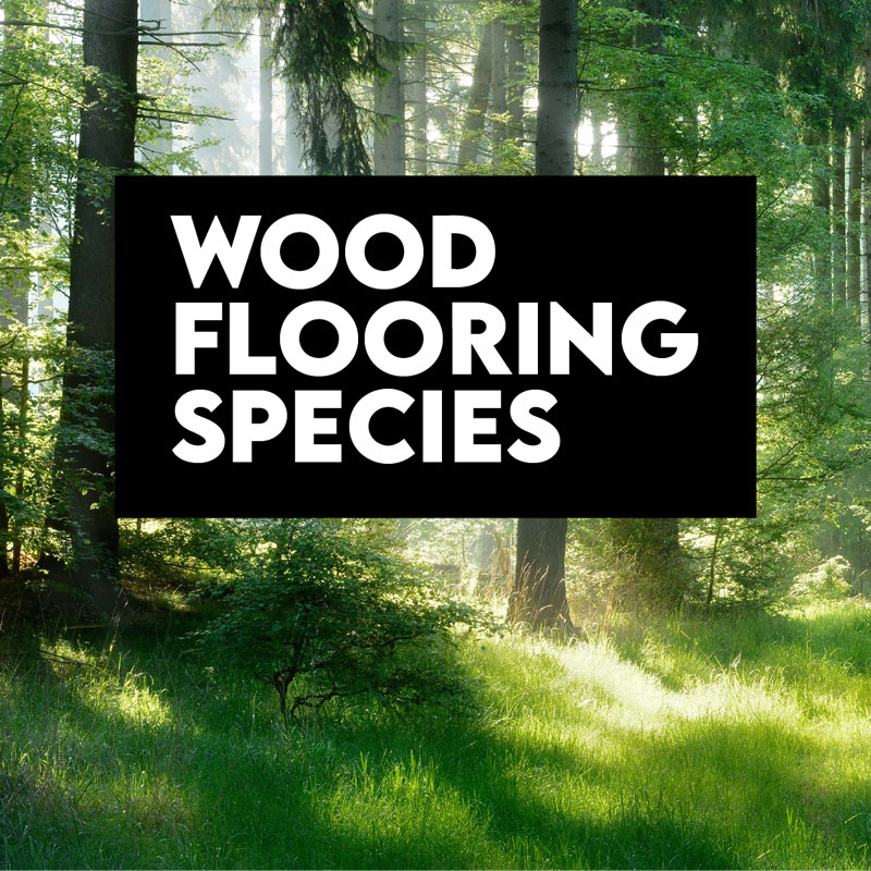 Wood Flooring Species CEU