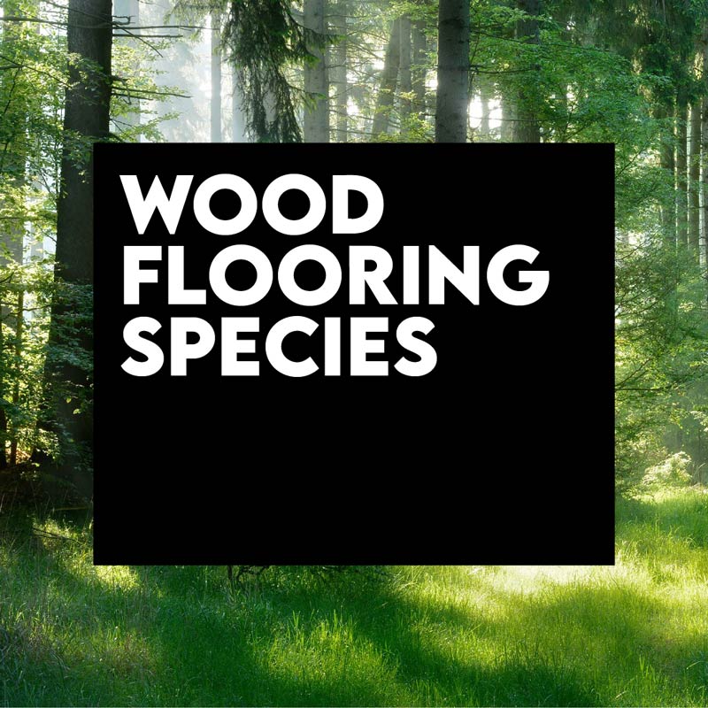 Wood-Flooring-Species-CEU-July-2022